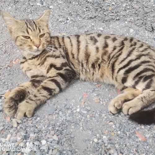 สมาชิกหมายเลข 3522870