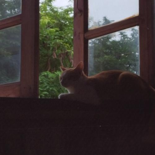 สมาชิกหมายเลข 8278352