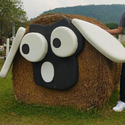 สมาชิกหมายเลข 5102298