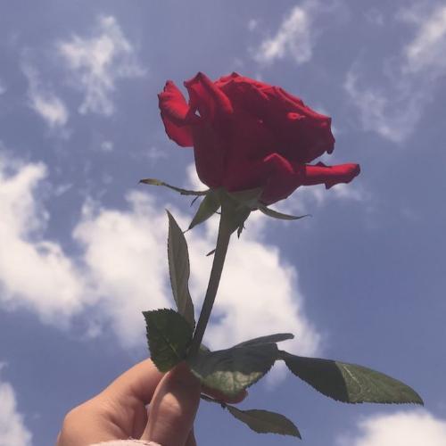 สมาชิกหมายเลข 4639636