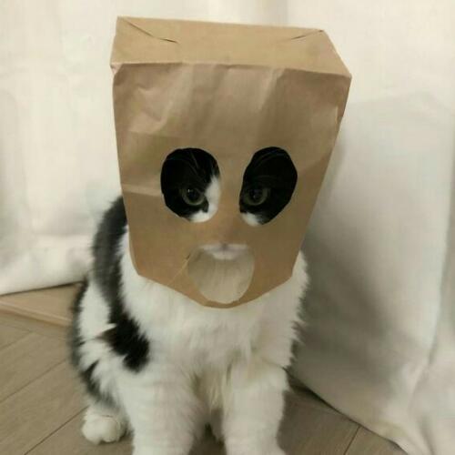 สมาชิกหมายเลข 5493426