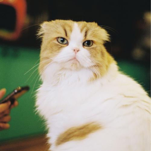 สมาชิกหมายเลข 6032541