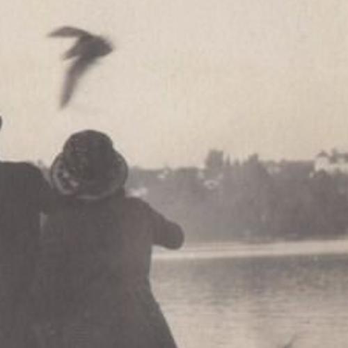 สมาชิกหมายเลข 6647476