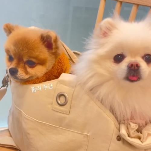 สมาชิกหมายเลข 2804835