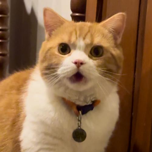 สมาชิกหมายเลข 8279847