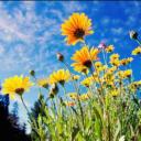 สมาชิกหมายเลข 3898993