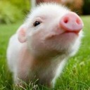 สมาชิกหมายเลข 4120971