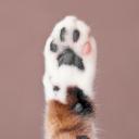 สมาชิกหมายเลข 4360901