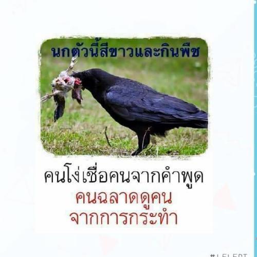 สมาชิกหมายเลข 1448170
