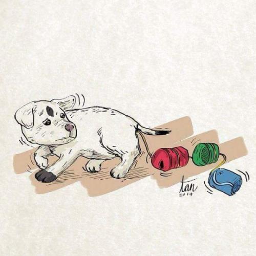 สมาชิกหมายเลข 4380578