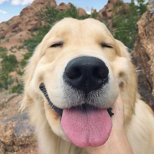 สมาชิกหมายเลข 4492934