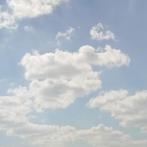 สมาชิกหมายเลข 5047001