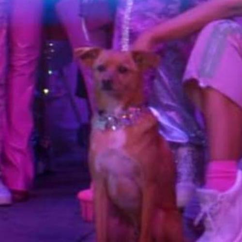 สมาชิกหมายเลข 5353217