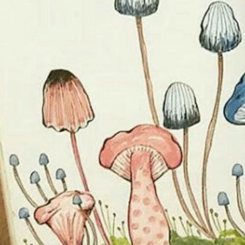 สมาชิกหมายเลข 5493447