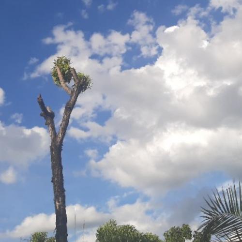 สมาชิกหมายเลข 5935948