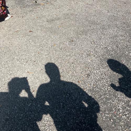 สมาชิกหมายเลข 8179012