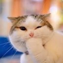 สมาชิกหมายเลข 2196272