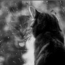 สมาชิกหมายเลข 3892085