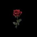 สมาชิกหมายเลข 2996843