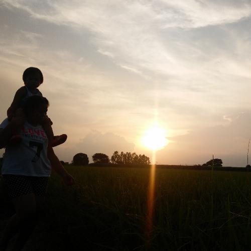 สมาชิกหมายเลข 4728734