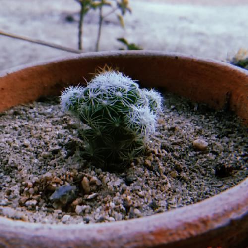 สมาชิกหมายเลข 5060724