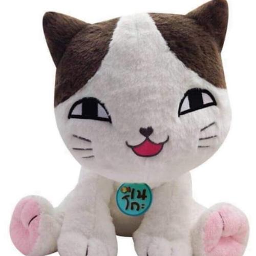 สมาชิกหมายเลข 5102909