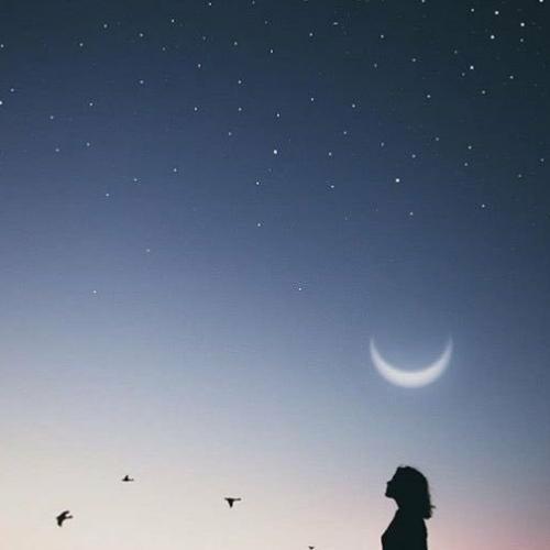 สมาชิกหมายเลข 5102971