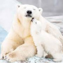 สมาชิกหมายเลข 1258542