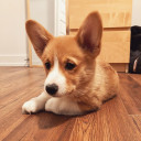 สมาชิกหมายเลข 1440298