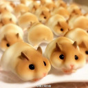 สมาชิกหมายเลข 2352836