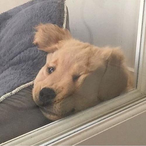 สมาชิกหมายเลข 5387164