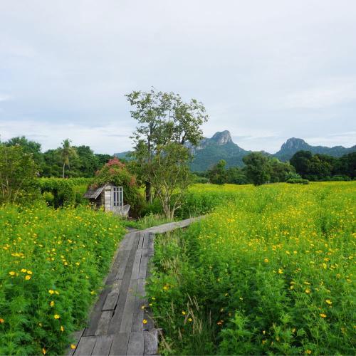 ดิดิ๊กะมิมิ๊ของน้องปราย