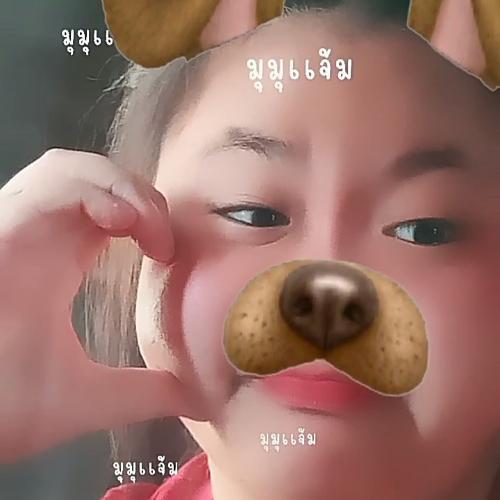 สมาชิกหมายเลข 7395571