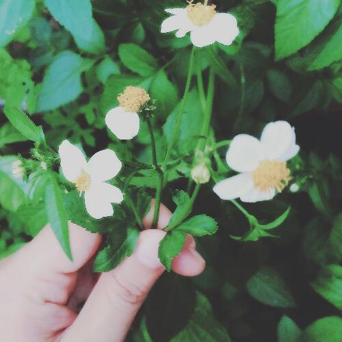 ไม่มีอะไรทั้งนั้น