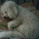 @สาวแก่@