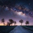 สมาชิกหมายเลข 4366320