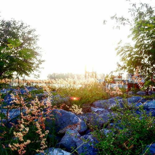 สมาชิกหมายเลข 4727293