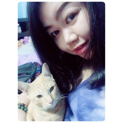 สมาชิกหมายเลข 4730391