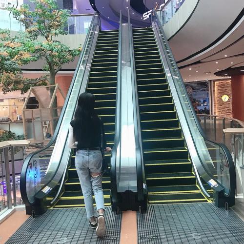 สมาชิกหมายเลข 5442025