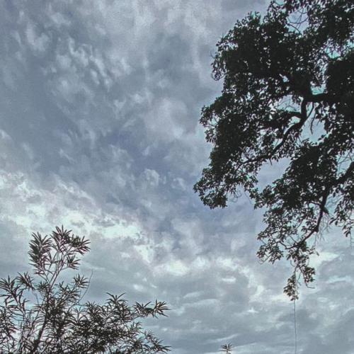 สมาชิกหมายเลข 5205856