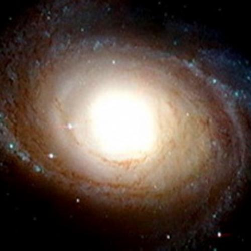 สมาชิกหมายเลข 6034618