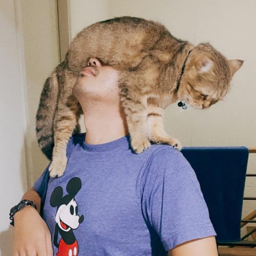 สมาชิกหมายเลข 5633662