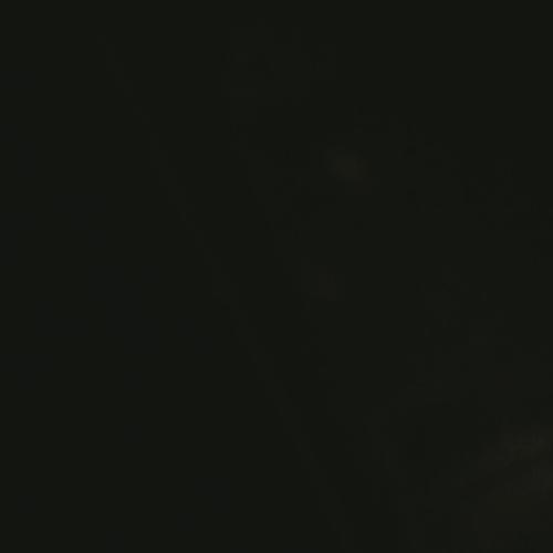 สมาชิกหมายเลข 6649403