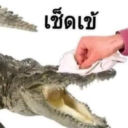 สมาชิกหมายเลข 6649872