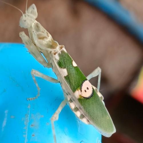 สมาชิกหมายเลข 5622879