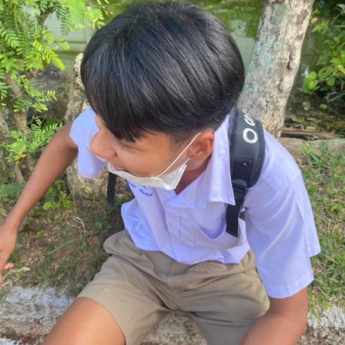 สมาชิกหมายเลข 7395641