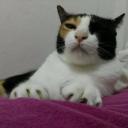 สมาชิกหมายเลข 3892410