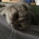 สมาชิกหมายเลข 2688216