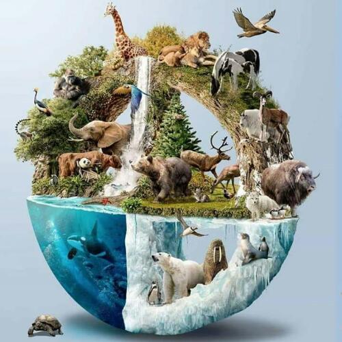 สมาชิกหมายเลข 4895470