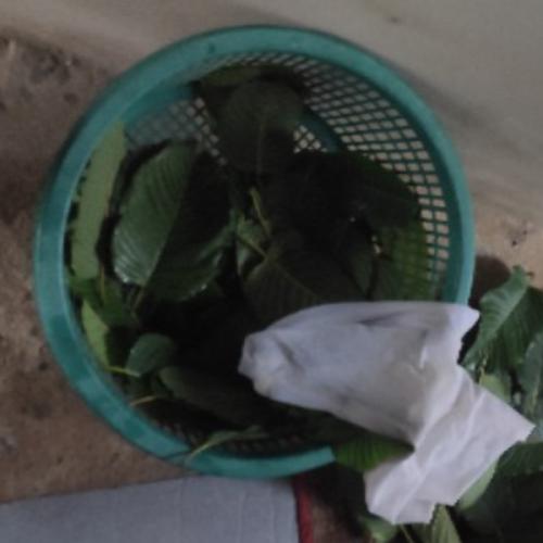 สมาชิกหมายเลข 6649083